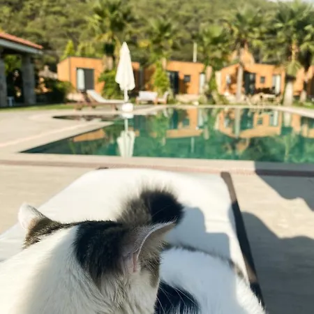 ホテル Riverside Gocek Apart *