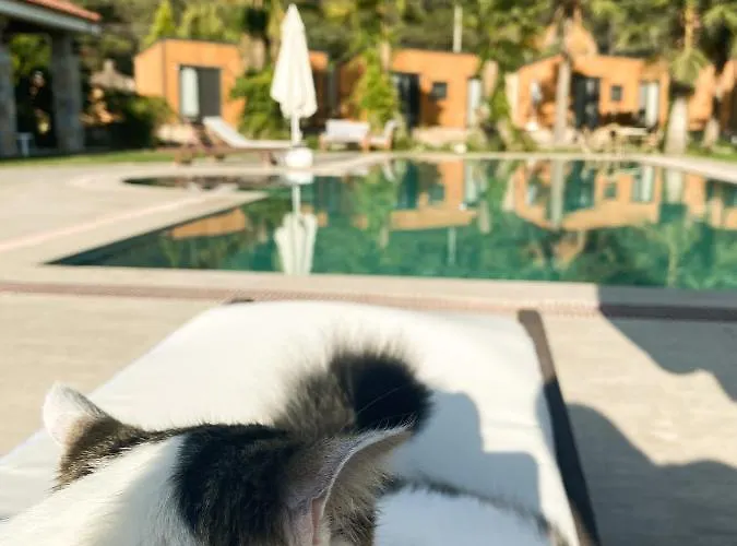 Hotell Riverside Gocek Apart *